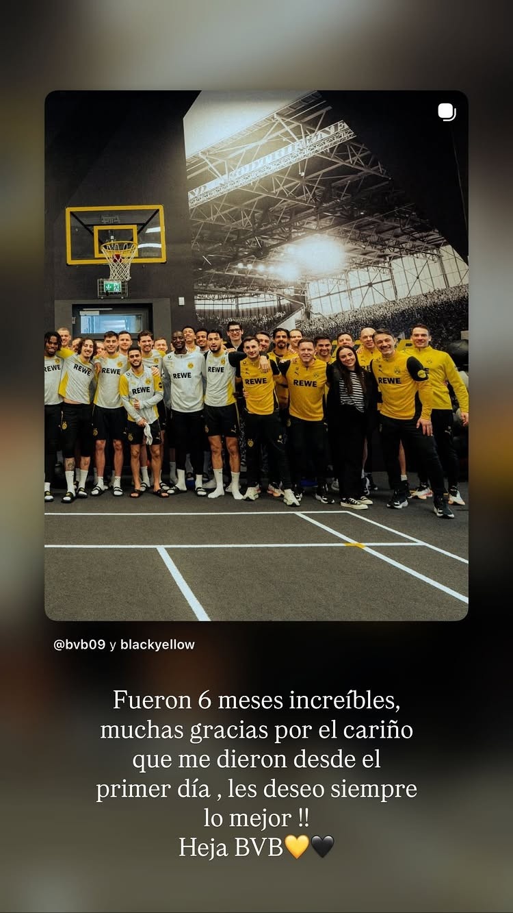 发现半岛体育-安塞尔米诺社媒告别多特蒙德：不可思议的6个月！感谢给我的爱